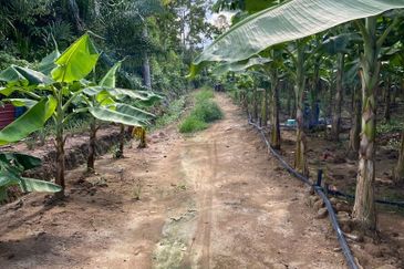 Kampung Sialang Tangkak Tanah Seluas 2.3 Ekar