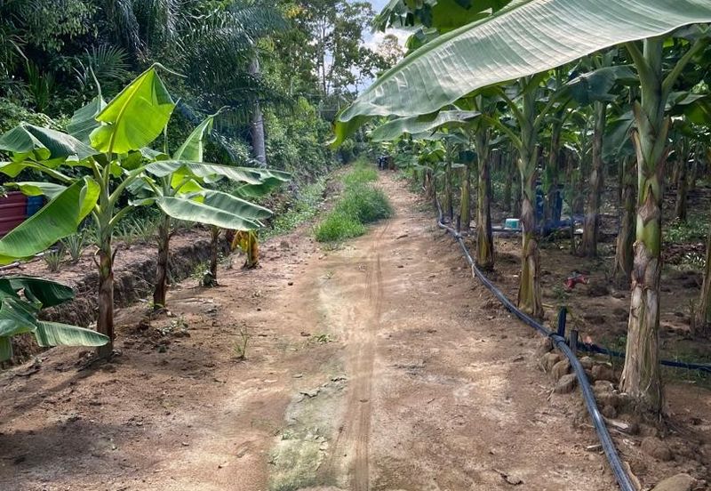 Kampung Sialang Tangkak Tanah Seluas 2.3 Ekar