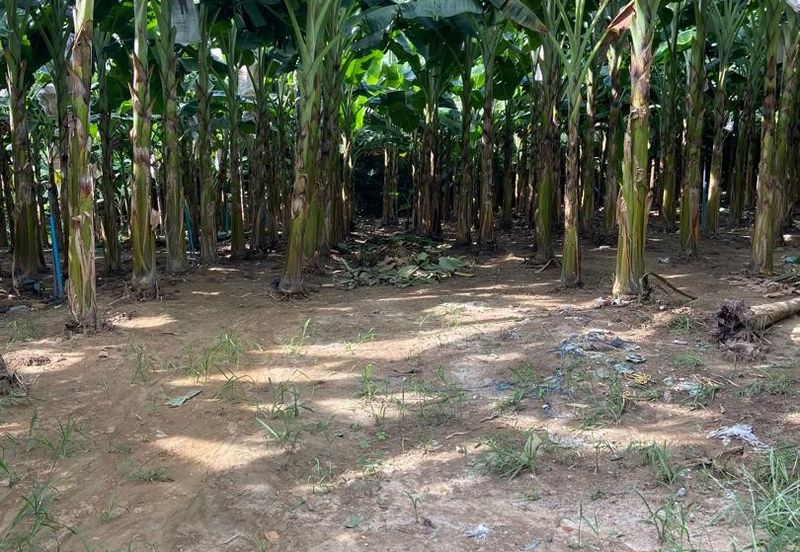 Kampung Sialang Tangkak Tanah Seluas 2.3 Ekar