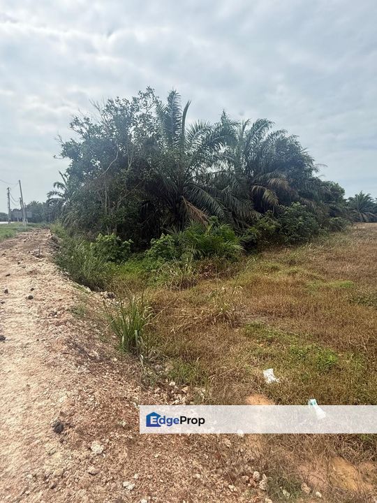 Kampung Hj Ghaffar Yong Peng Tanah 2.8 Ekar, Johor, Yong Peng