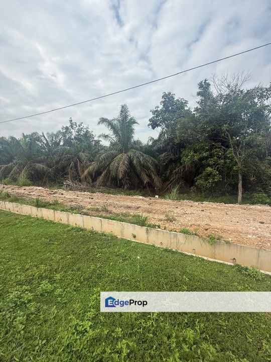 Kampung Hj Ghaffar Yong Peng Tanah 2.8 Ekar, Johor, Yong Peng