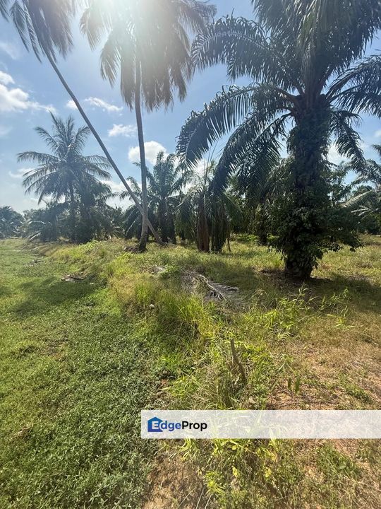 Tanah Seluas 0.7 Ekar Di Kampung Patah Pedang Sungai Ayam Batu Pahat., Johor, Batu Pahat