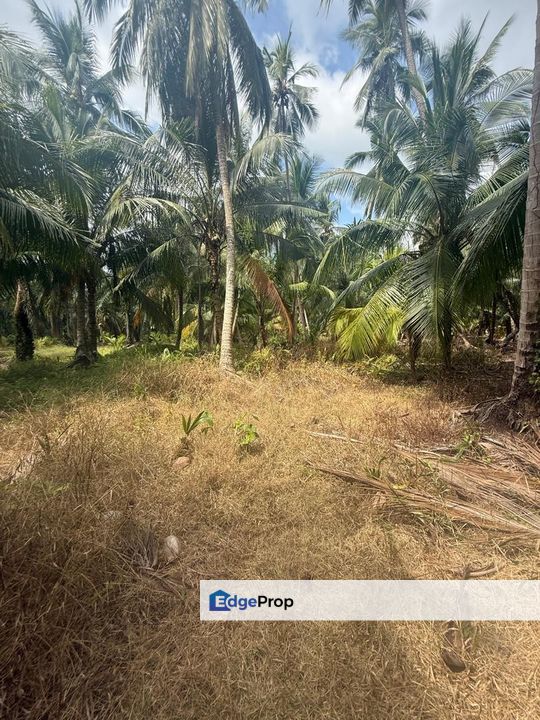 Tanah Di Kampung Patah Pedang Sungai Ayam Batu Pahat Seluas 1.4 Ekar ., Johor, Batu Pahat