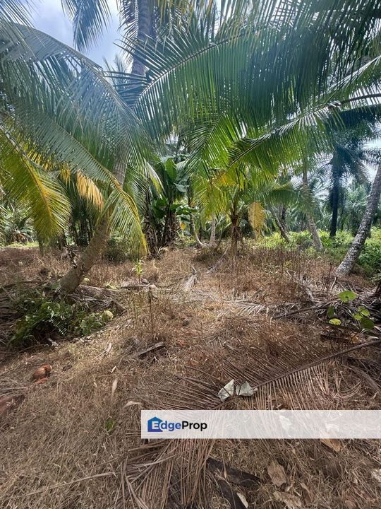 Tanah Di Kampung Patah Pedang Sungai Ayam Batu Pahat Seluas 1.4 Ekar ., Johor, Batu Pahat