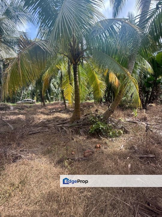 Tanah Di Kampung Patah Pedang Sungai Ayam Batu Pahat Seluas 1.4 Ekar ., Johor, Batu Pahat