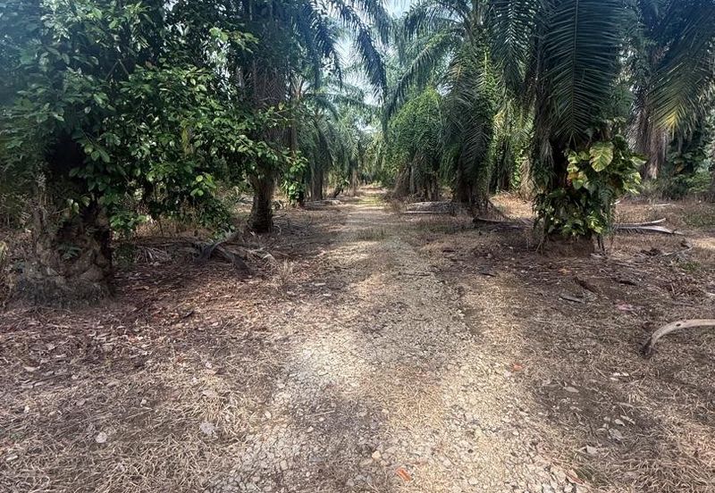 Kampung Sungai Mengkudu Rengit Tanah 2.7 Ekar Non Bumi 