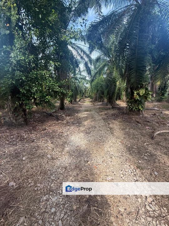 Kampung Sungai Mengkudu Rengit Tanah 2.7 Ekar Non Bumi , Johor, Rengit