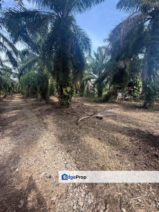 Kampung Sungai Mengkudu Rengit Tanah 2.7 Ekar Non Bumi , Johor, Rengit