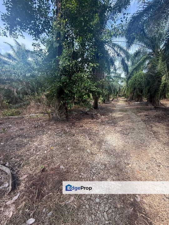 Kampung Sungai Mengkudu Rengit Tanah 2.7 Ekar Non Bumi , Johor, Rengit