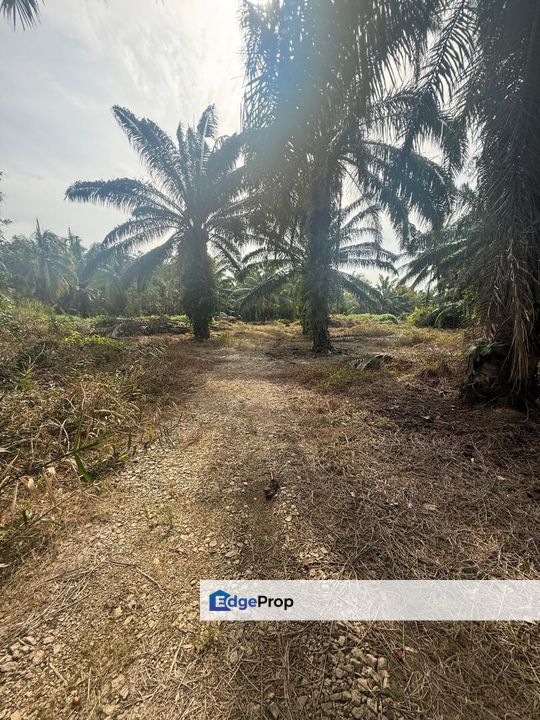 Kampung Sungai Mengkudu Rengit Tanah 2.7 Ekar Non Bumi , Johor, Rengit