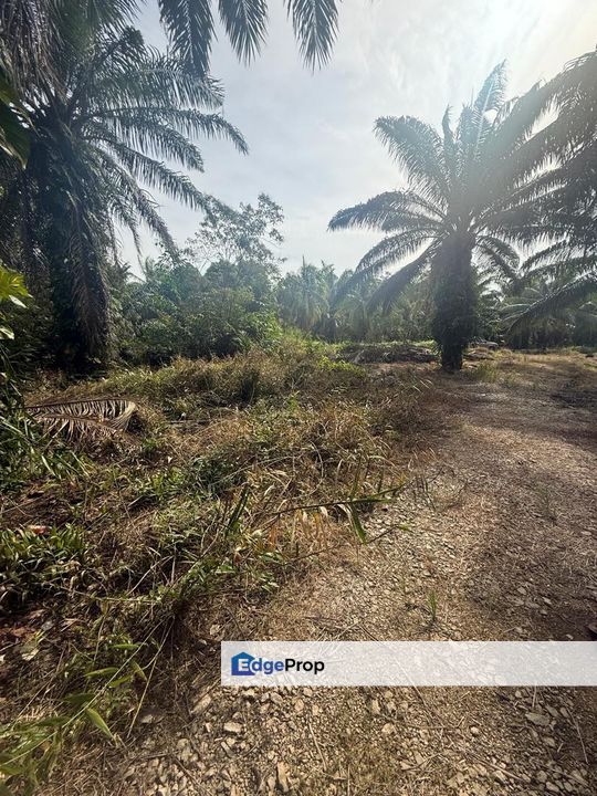 Kampung Sungai Mengkudu Rengit Tanah 2.7 Ekar Non Bumi , Johor, Rengit