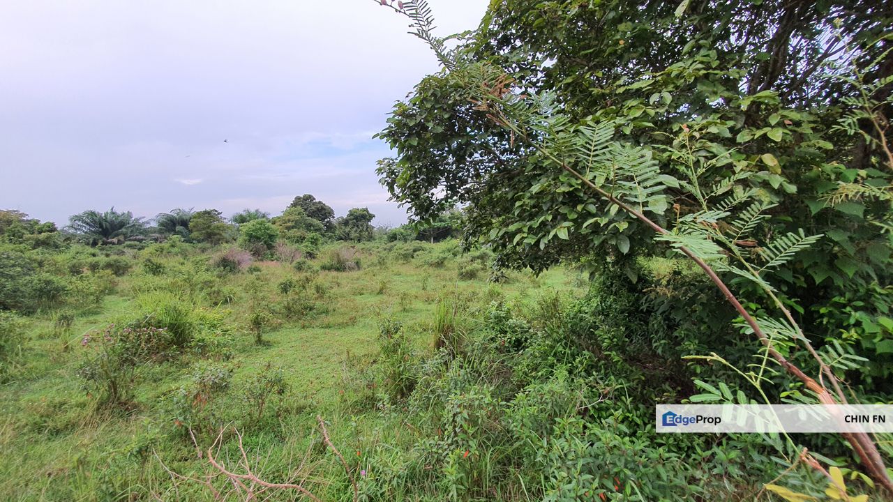 Tanah Bangunan for Sale Freehold 4800 sq.ft Kampung Tasek Sungai Rambai Muar Melaka, Melaka, Sungai Rambai