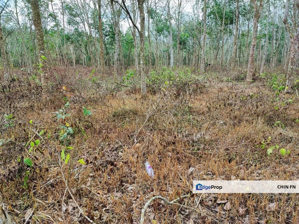 Tempat Baik Hampir Tanah 4 Ekar Beside Main Road Seri Kesang Jasin Melaka, Melaka, Jasin