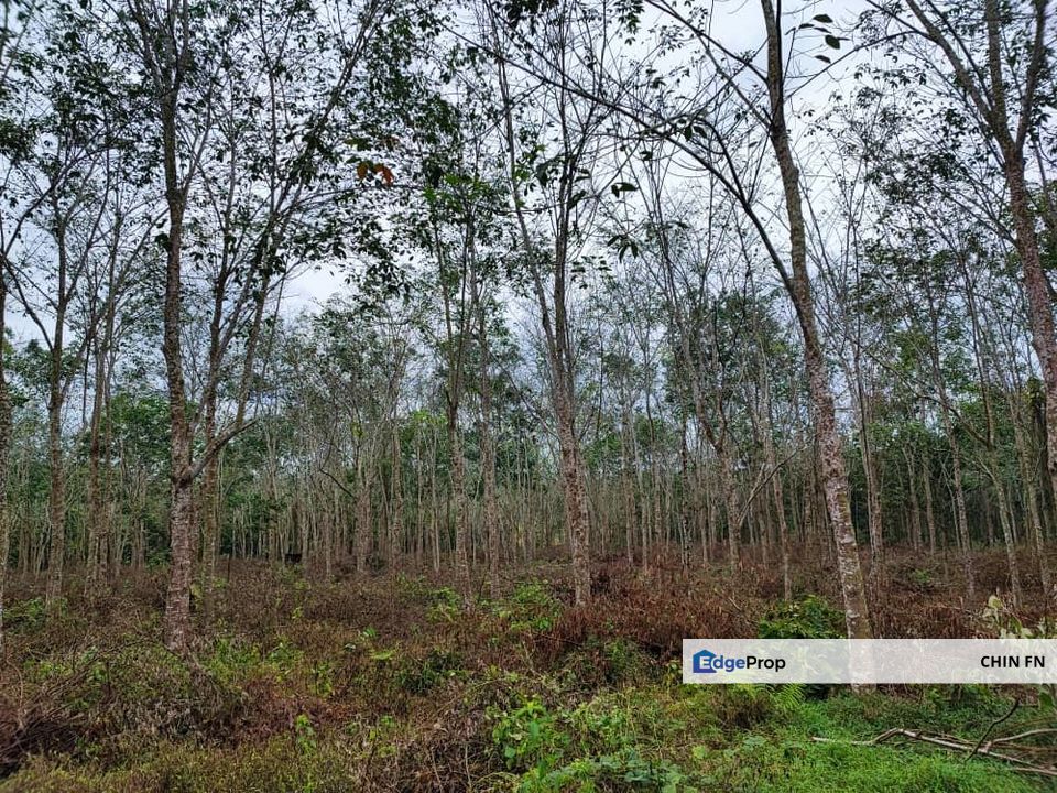Tempat Baik Hampir Tanah 4 Ekar Beside Main Road Seri Kesang Jasin Melaka, Melaka, Jasin