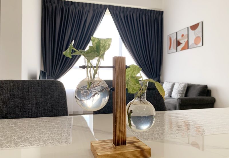 Amber Cove @ Impression City