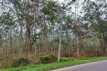 Agriculture Land 3.93 Ekar Tanah Pokok Getah Seri Kesang Jasin Melaka