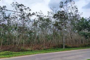 Agriculture Land 3.93 Ekar Tanah Pokok Getah Seri Kesang Jasin Melaka