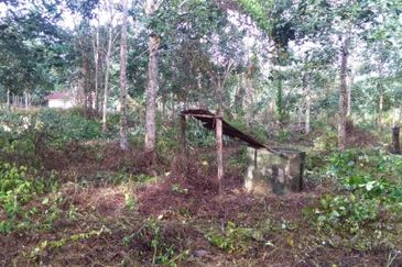 Agriculture Land 3.93 Ekar Tanah Pokok Getah Seri Kesang Jasin Melaka