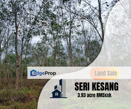 Agriculture Land 3.93 Ekar Tanah Pokok Getah Seri Kesang Jasin Melaka, Melaka, Jasin