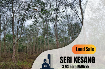 Agriculture Land 3.93 Ekar Tanah Pokok Getah Seri Kesang Jasin Melaka