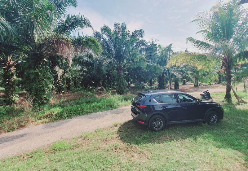 Nice Fully Furnish 1.5 Sty Bungalow House Kampung Parit Penghulu Muar 