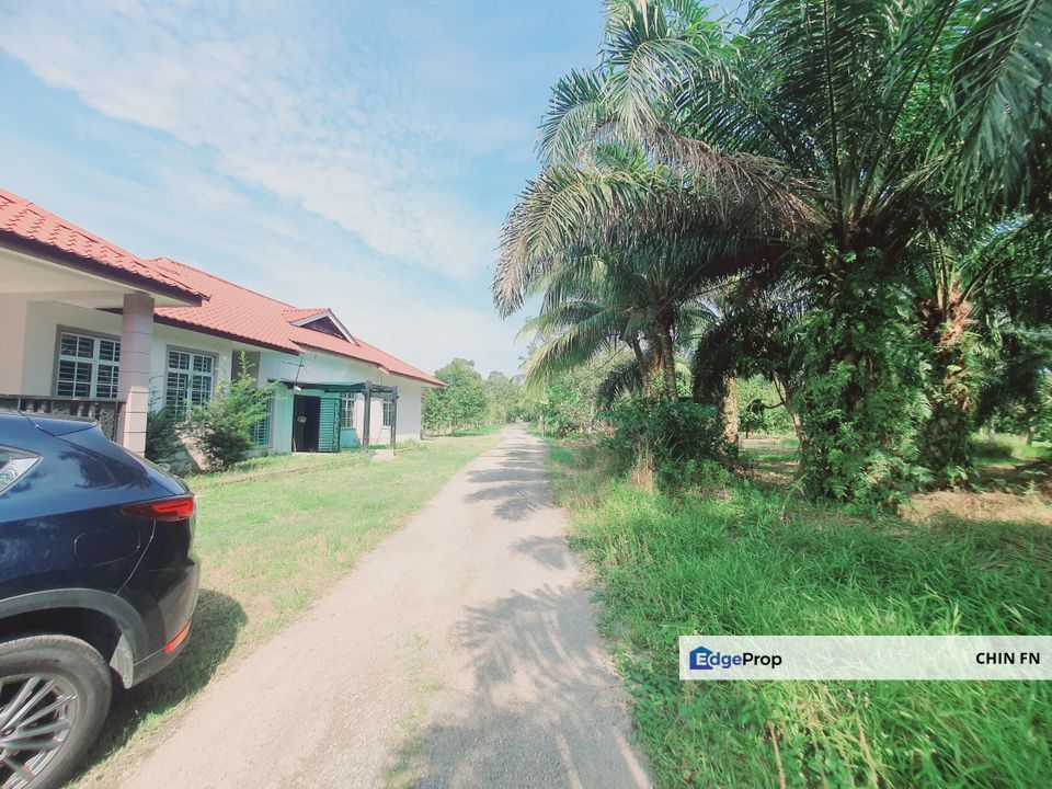 Big Size 2 acre Freehold Bungalow Kampung Parit Penghulu Sungai Rambai Muar Johor, Johor, Muar