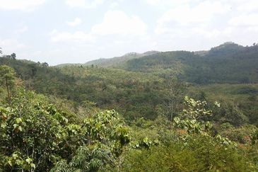 Retreat - Guarded, clubhouse, tarred road (2.82ac)