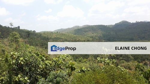 Retreat - Guarded, clubhouse, tarred road (2.82ac), Pahang, Bentong