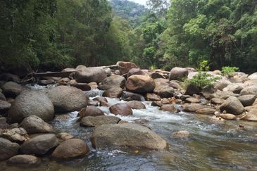 Retreat - Guarded, clubhouse, tarred road (1.63ac)