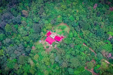 Hill resort surrounded by nature (RM70psf)