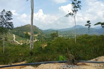 Guarded-Stream,niceview,tarred road,farming-4.63ac