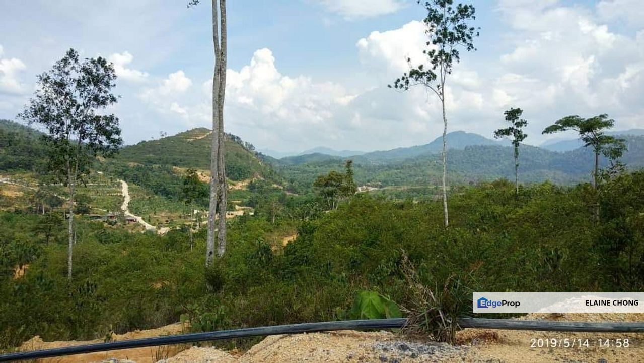 Guarded-Stream,niceview,clubhse,tarred rd 6.93ac, Pahang, Bentong