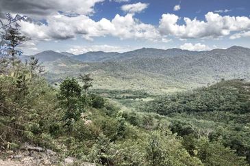 Mountain Peak,Guarded,clubhse,tar road (8 acre)