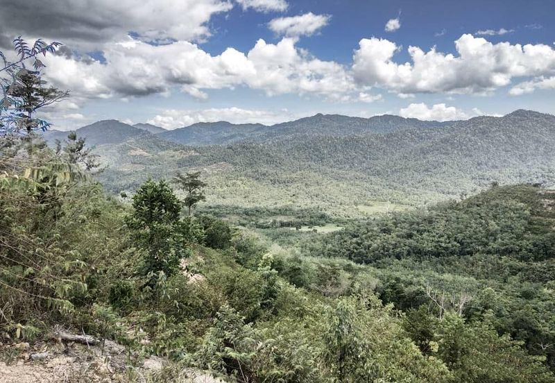 Mountain Peak, Guarded,clubhse, tar road (8 acre)