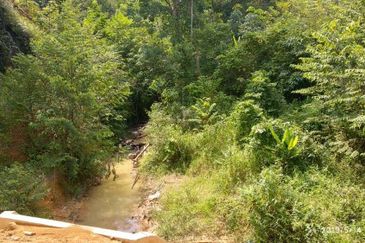 Mountain Peak, Guarded,clubhse, tar road (8 acre)