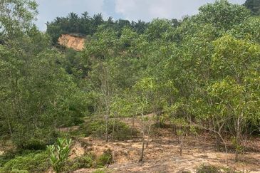 Quarry Land @ Jeram - 54.7 acres