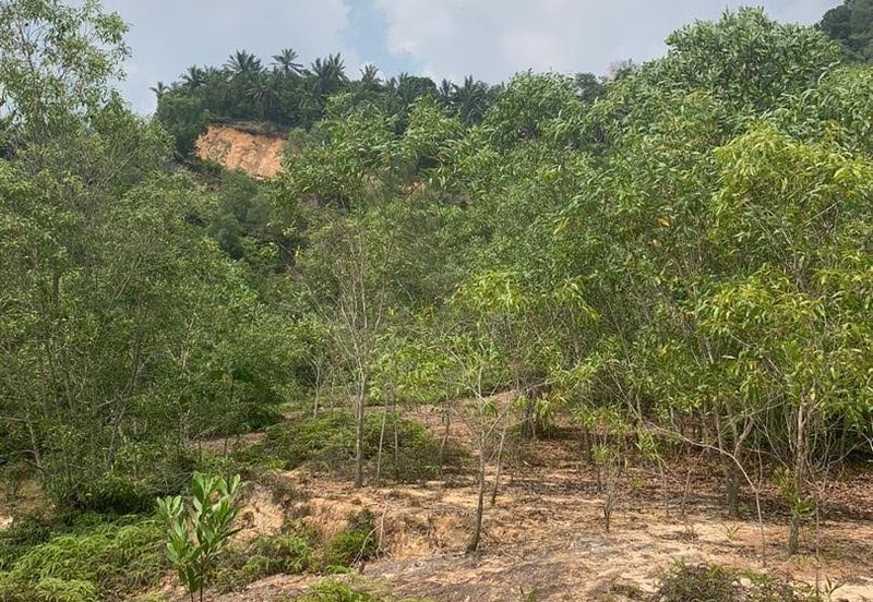 Quarry Land @ Jeram - 54.7 acres