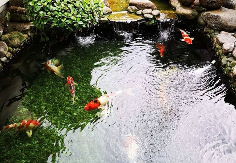 Taman United - 6+2 rooms, 6 carpark