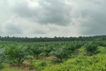 Near JPO- Next to Highway, Commercial zoning(17ac) (RM38psf)