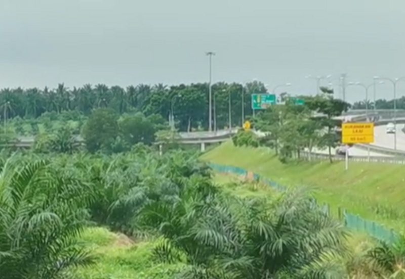 Near JPO- Next to Highway, Commercial zoning(17ac) (RM56psf)