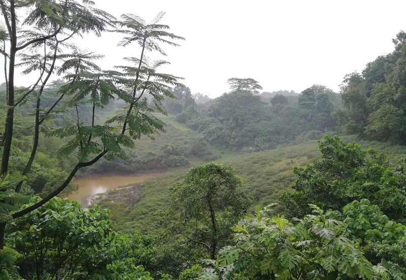 Seputeh Point - guarded, 2 master suite, greenery