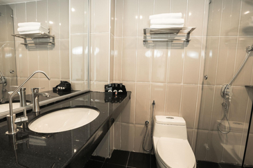 Melaka Hotel (48 rooms with lift) 