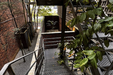 Enbloc (with pool) [Tenanted] (Zen environment) 