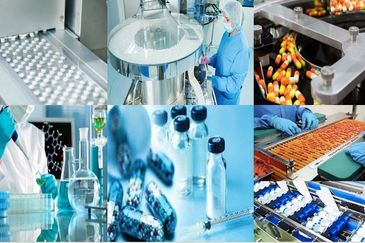 1.193 Pharmaceutical Industrial Land @ Shah Alam