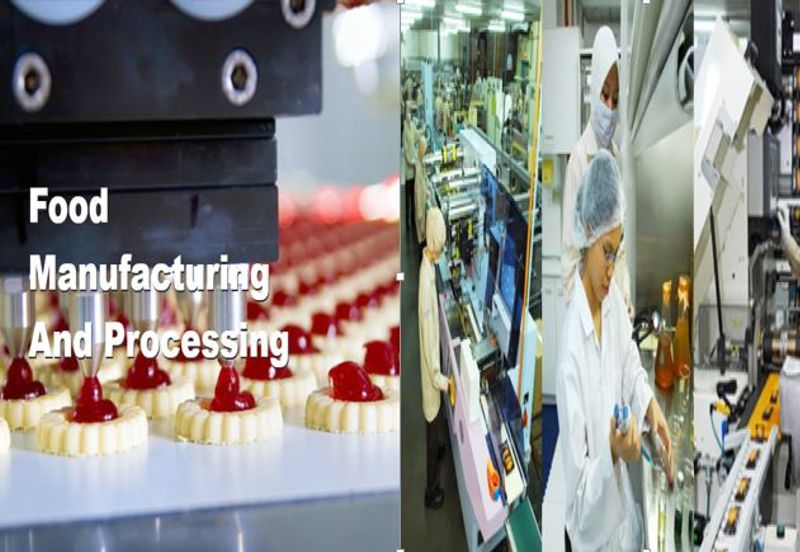 1.194 Food Manufacturer Industrial Land