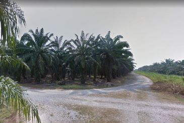 1.128  Poultry,Aquafarming @Teluk Panglima Garang 