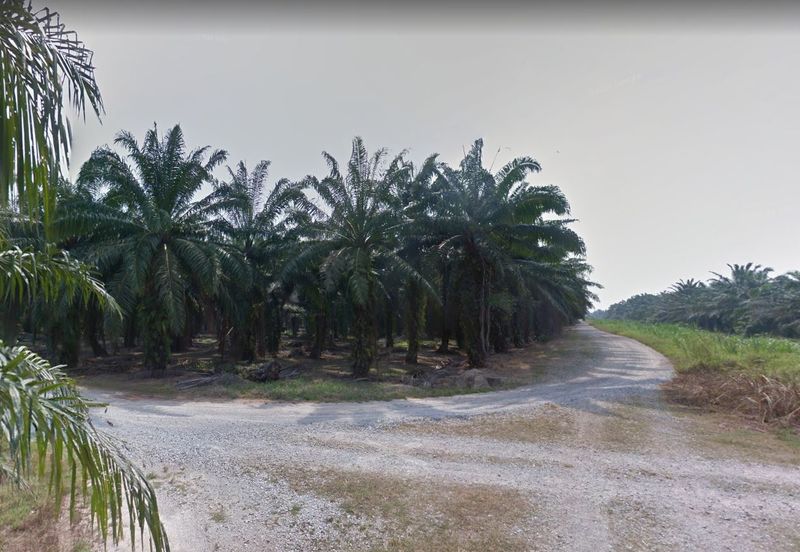 1.128  Poultry,Aquafarming @Teluk Panglima Garang 