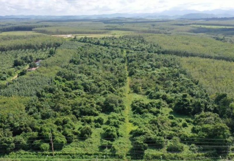 1.899 Development Land Near Penggerang