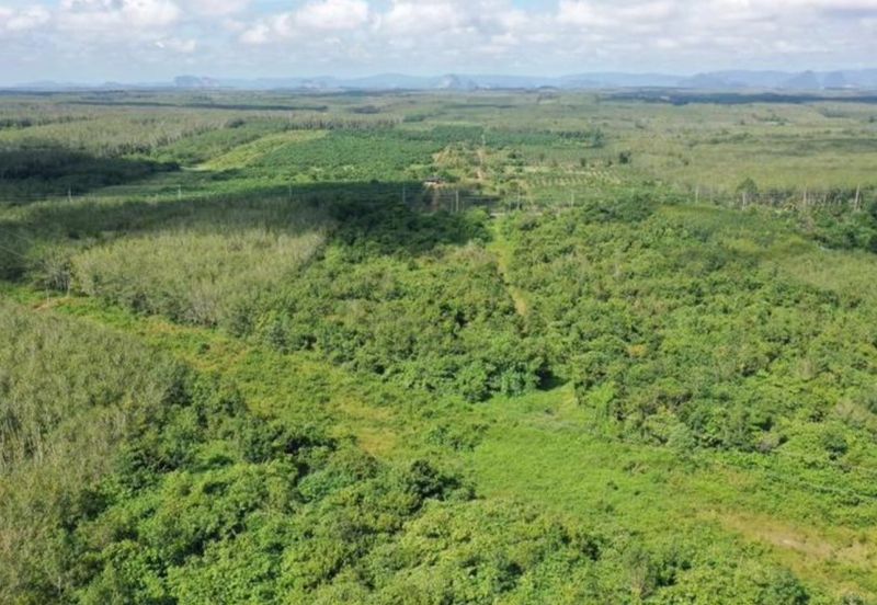 1.899 Development Land Near Penggerang