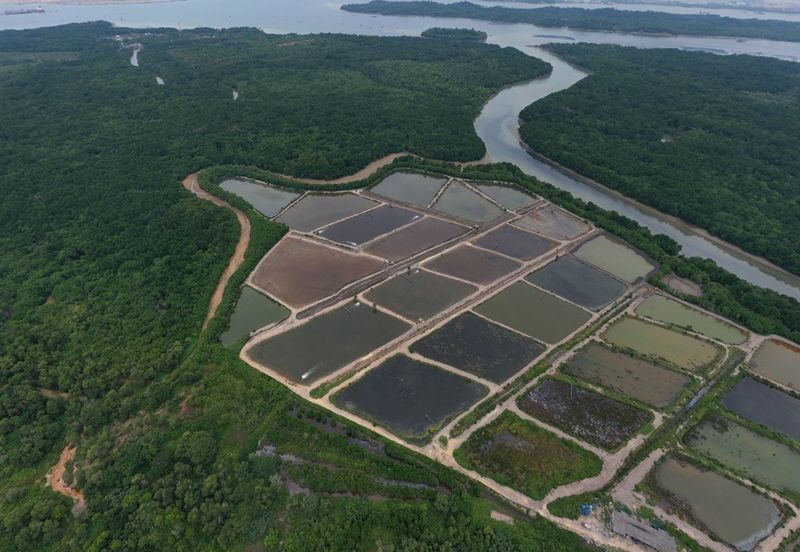 1.1596c Tanjung Langsat Industrial Complex Land